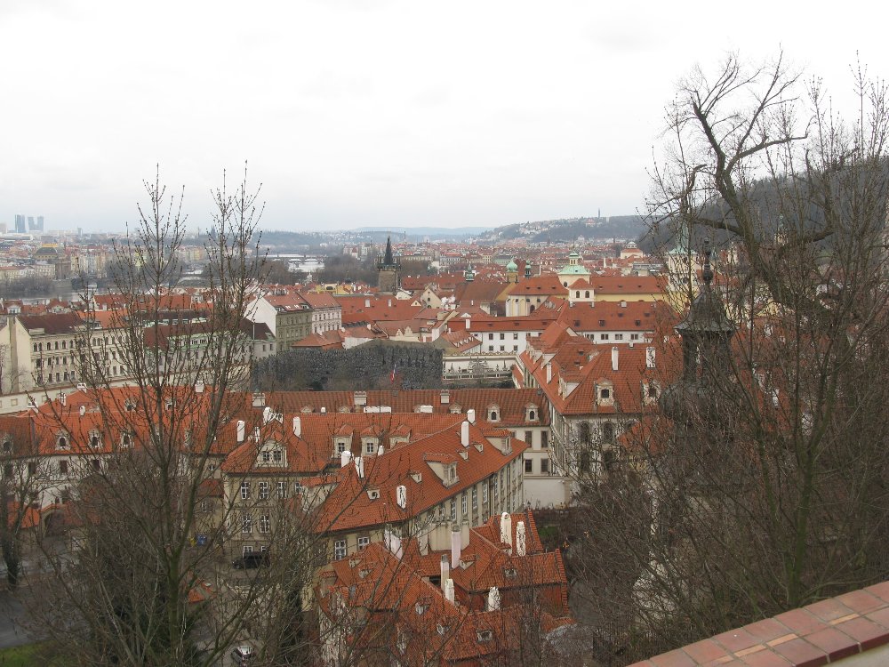IMG_4865.JPG