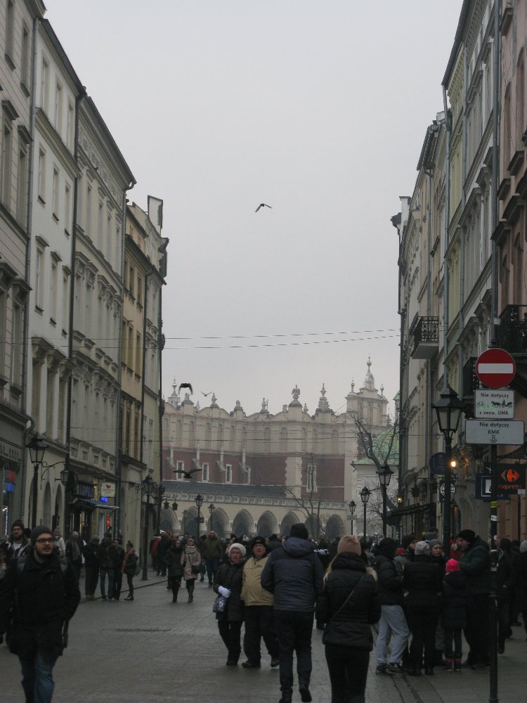 IMG_4903.JPG