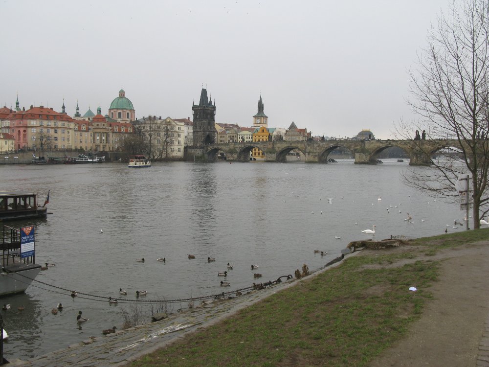 IMG_4892.JPG